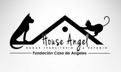 Logo House Angel